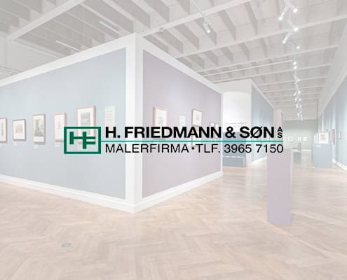 Friedmann Grønland ApS logo